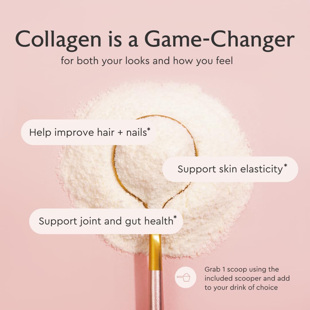 Alaya Multi Collagen Powder - Type I, II, III, V, X Hydrolyzed Collagen Peptides Protein Powder Supplement with MSM + GC (Unflavored) (40 Servings)