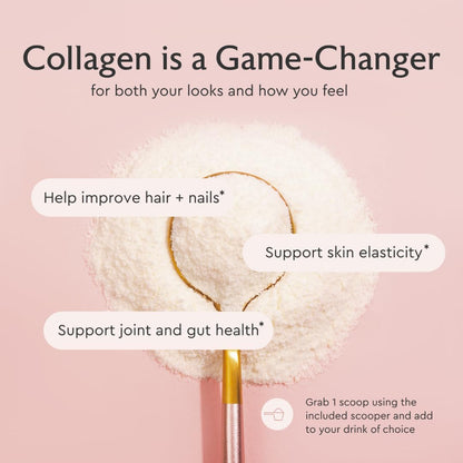 Alaya Multi Collagen Powder - Type I, II, III, V, X Hydrolyzed Collagen Peptides Protein Powder Supplement with MSM + GC (Unflavored) (40 Servings)