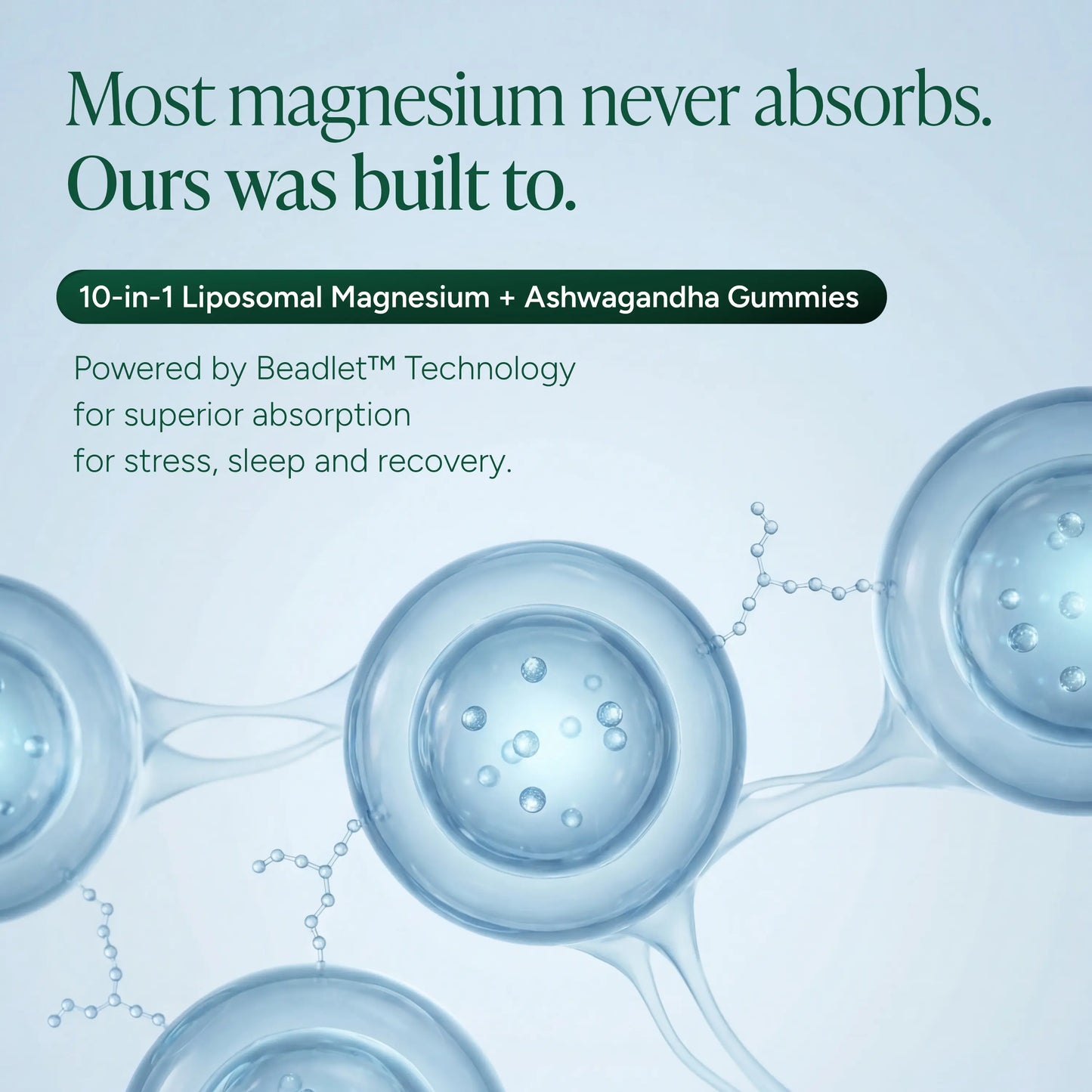 Root Labs Liposomal Magnesium + Ashwagandha Gummies with Beadlet Technology | 675mg Multi-Form Magnesium Salt, 200mg KSM-66 Ashwagandha, 26mg L-Theanine | High Bioavailability Gummies | Stress Relief, Sleep Support & Recovery | 60 Gummies (30 Servings)