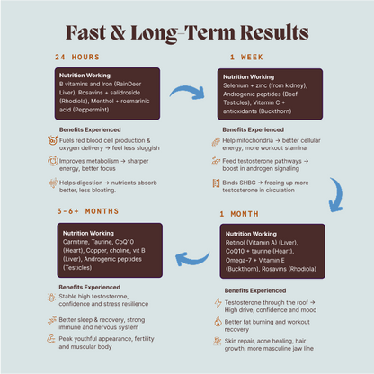 Primal Testosterone Support