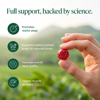 Root Labs Liposomal Magnesium + Ashwagandha Gummies with Beadlet Technology | 675mg Multi-Form Magnesium Salt, 200mg KSM-66 Ashwagandha, 26mg L-Theanine | High Bioavailability Gummies | Stress Relief, Sleep Support & Recovery | 60 Gummies (30 Servings)