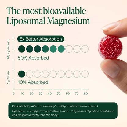 Root Labs Liposomal Magnesium + Ashwagandha Gummies with Beadlet Technology | 675mg Multi-Form Magnesium Salt, 200mg KSM-66 Ashwagandha, 26mg L-Theanine | High Bioavailability Gummies | Stress Relief, Sleep Support & Recovery | 60 Gummies (30 Servings)